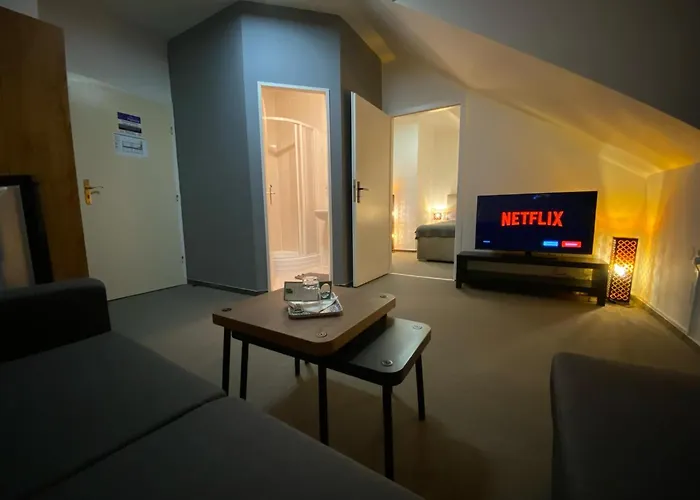 Hotel & Spa Centrum Palmira 3* Uhersky Brod