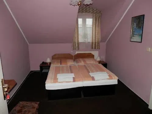 Hotel & Spa Centrum Palmira 3*