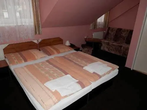 Hotel & Spa Centrum Palmira Hotel